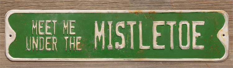 Meet Me Under the Mistletoe Street Sign