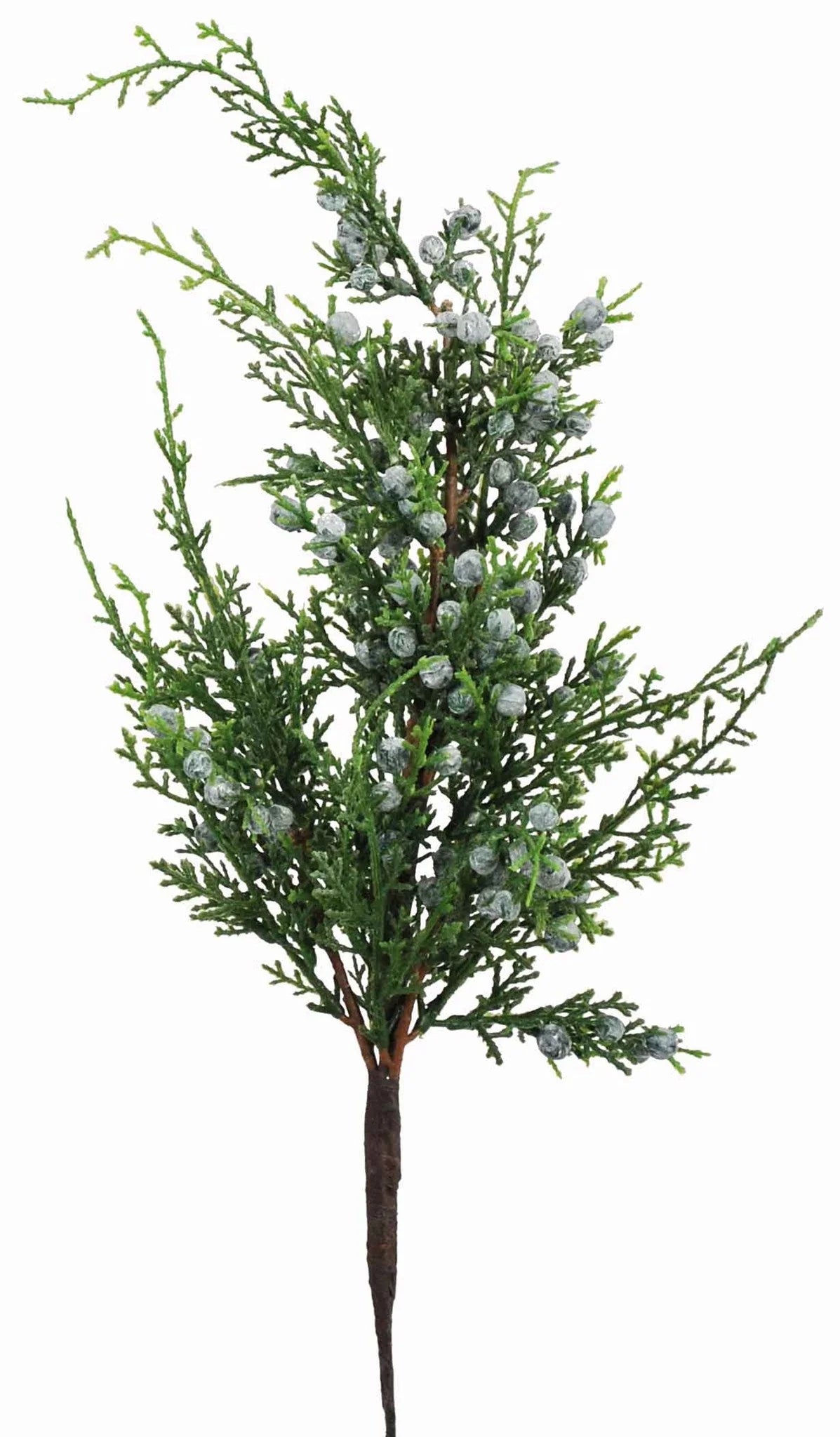 Juniper with Blue Berries Pick, Set of 3