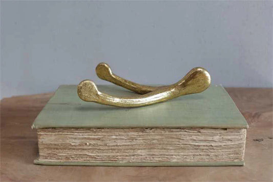 Lucky Gold Wishbone