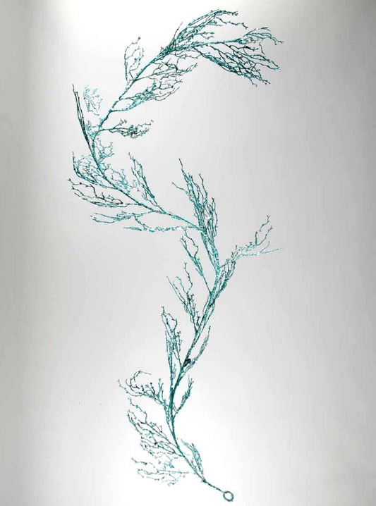 Blue Glittered Coral Garland