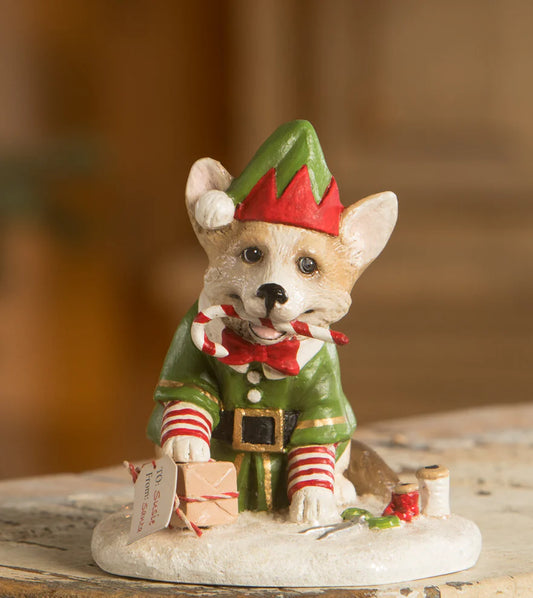 Wrapping it Up Corgie