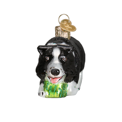 Herding Border Collie Ornament