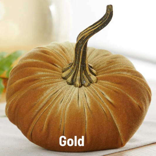 Velvet Pumpkin, Gold Velvet