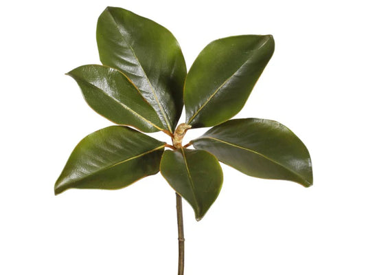 Magnolia Leaf Picks, Set of 3