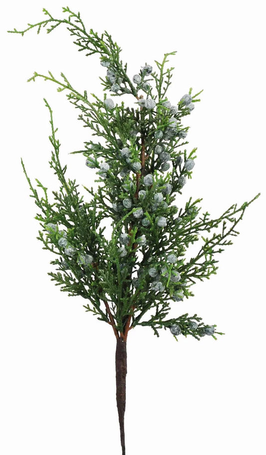 Juniper with Blue Berries Pick, Set of 3